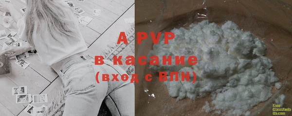 шишки Абинск