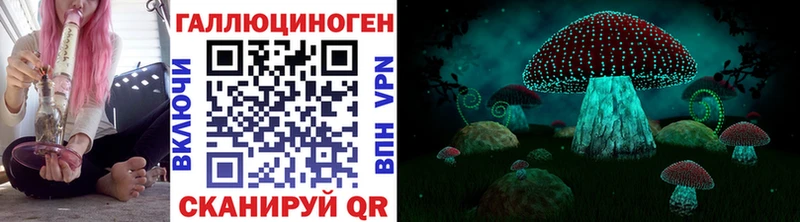 Галлюциногенные грибы GOLDEN TEACHER купить наркотик Алдан